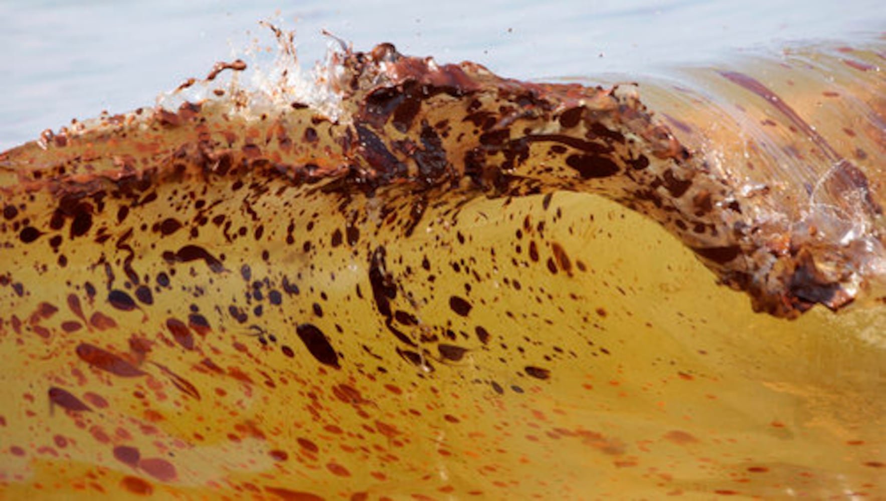 Deepwater Horizon oil spill on the Gulf -- One year later