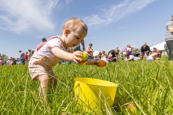 Ellie Lively,1, puts eggs in her bucket during the Easter egg hunt in Homer, Georgia, Saturday, April 1, 2023.  (Steve Schaefer/steve.schaefer@ajc.com)