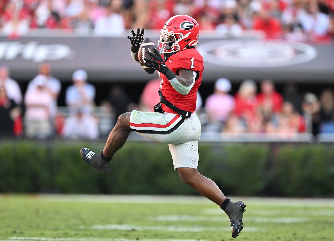 Georgia vs Mississippi State photo