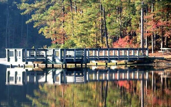 Ozora Lake creates a beautiful, tranquil centerpiece for Tribble Mill Park.