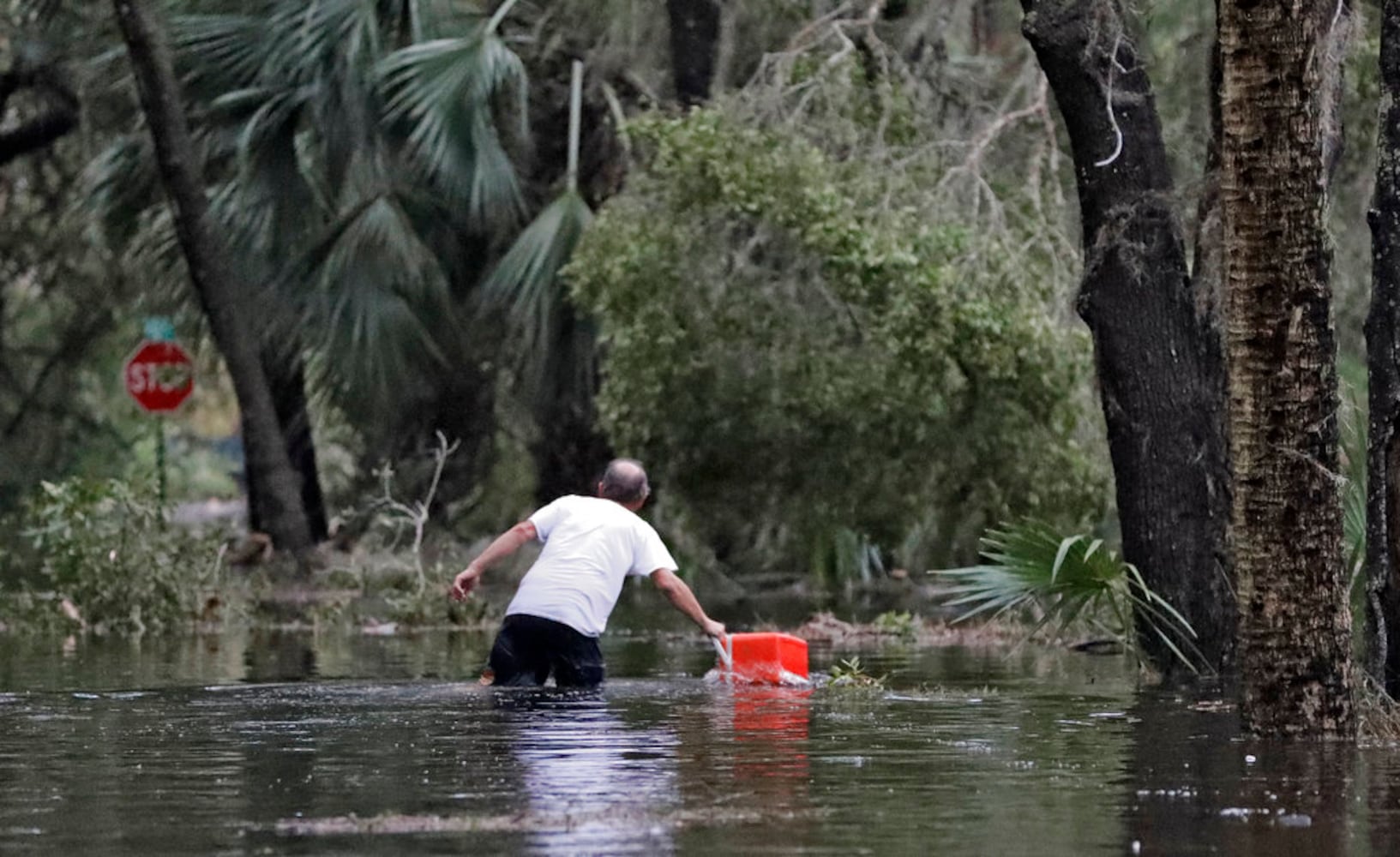 Photos: Hurricane Michael leaves behind path of destruction