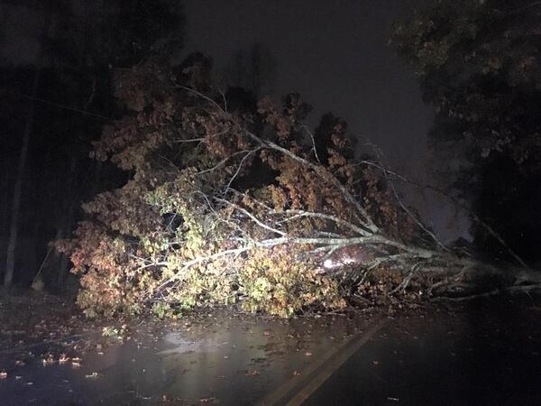 A tree came down due to heavy rains. Photo: Forsyth County Sheriff's Office