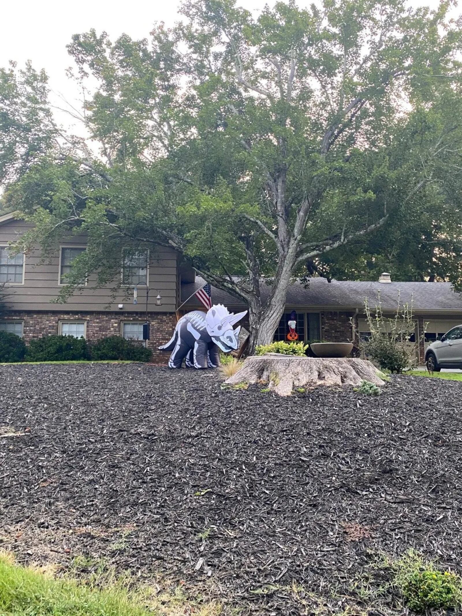 A dinosaur on Heatherdale Lane was installed on Sept. 21, joining dozens of other inflatables around the city. (Photo Courtesy of Cathy Cobbs)