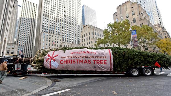 The 2018 Rockefeller Center Christmas tree, a 72-foot tall, 12-ton Norway Spruce from Wallkill, N.Y., pulls into Rockefeller Plaza, Saturday, Nov. 10, 2018, in New York.