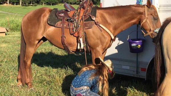 Stolen rodeo horses were found on Sunday. (Credit: Channel 2 Action News)