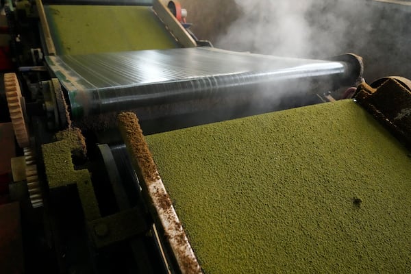 Steam rises as tea leaves are processed on a conveyer belt at a tea factory in Nilgiris district, India, Thursday, Sept. 26, 2024. (AP Photo/Aijaz Rahi)