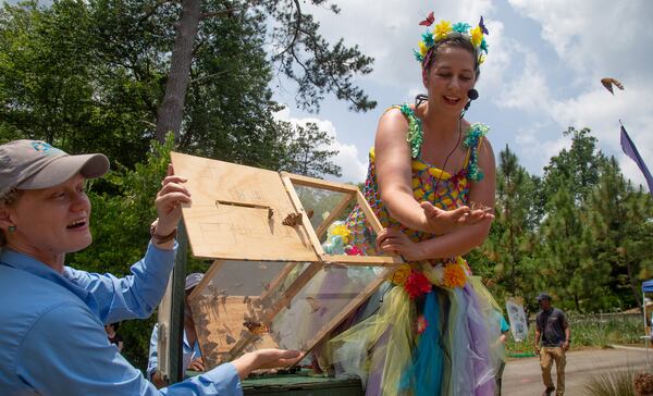 Emily Belinfante (Ms. Chrysalis) releases nearly 100 Painted Lady Butterflies during the Annual Flying Colors Butterfly Festival at the Chattahoochee Nature Center in Roswell on Sunday, June 2, 2019.   STEVE SCHAEFER / SPECIAL TO THE AJC