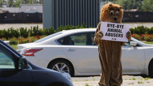 UNIONDALE, NY - MAY 21:  Members of PETA (People for the Ethical Treatment of Animals) picket on the final day of the Ringling Bros Barnum and Bailey Circus on May 21, 2017 in Uniondale, New York. Known as "The Greatest Show on Earth", the circus performed its final act after a 146 year run.  (Photo by Bruce Bennett/Getty Images)