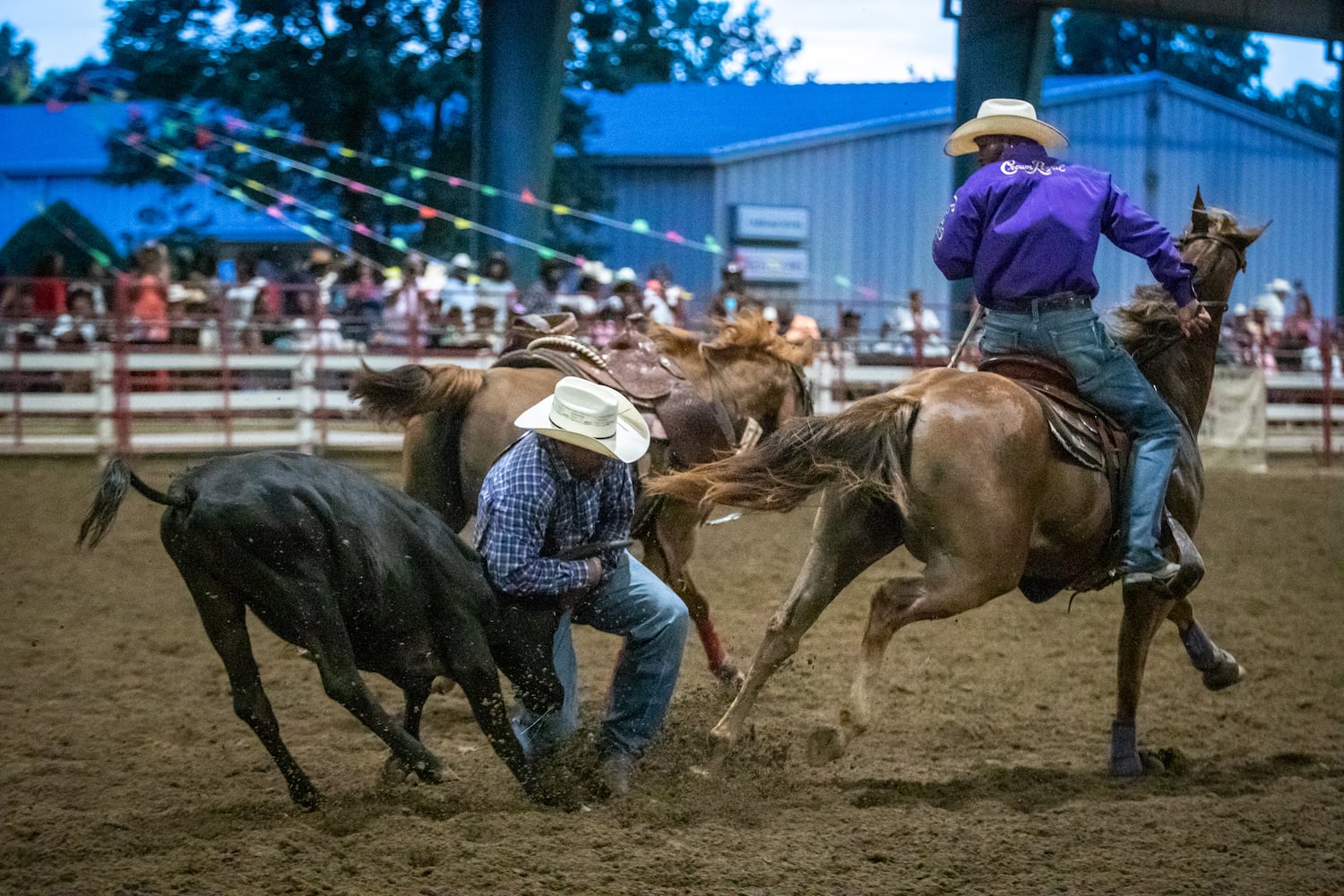 Bill Pickett Rodeo 