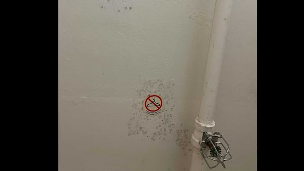 University of Georgia parent Robin Sheppard said she took pictures like this in her daughter's dorm bathroom on Nov. 28, 2021 in Mell Hall she said shows mold. Photo contributed.