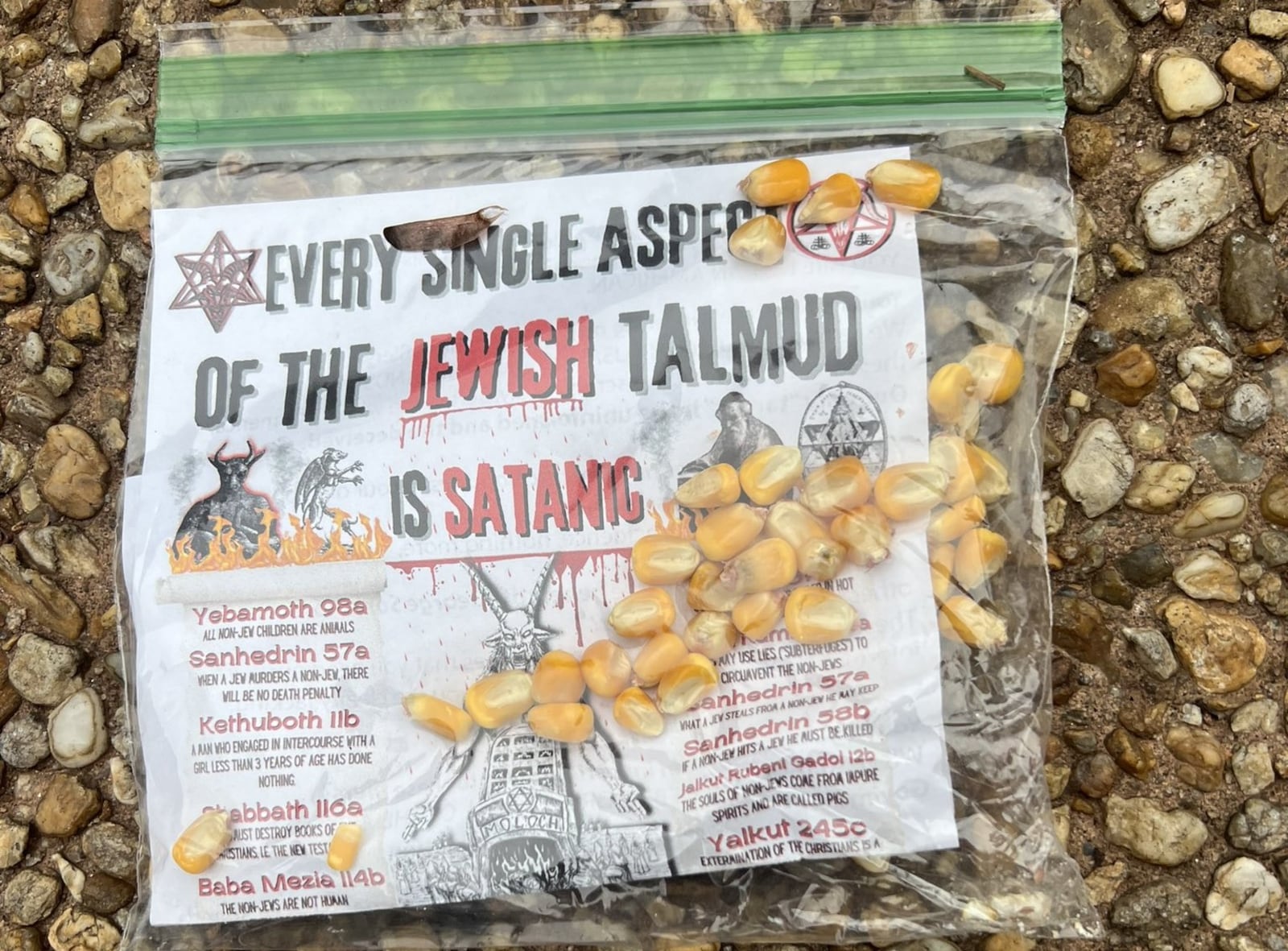 Several antisemitic flyers were distributed around some of metro Atlanta's Jewish neighborhoods overnight Sunday. (State Rep. Esther Panitch)