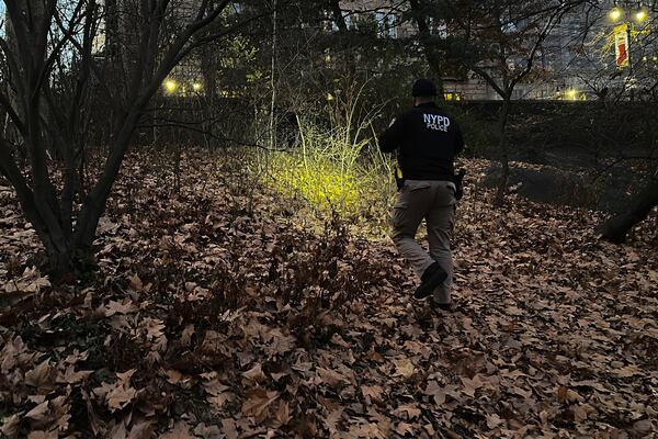 A New York City Police officer walks through brush and foliage in Central Park near 64th Street and Central Park West, Friday, Dec. 6, 2024, in New York, while searching for a backpack police believe was dropped in the park by the person suspected of killing UnitedHealthcare CEO Brian Thompson on Wednesday, Dec. 4, 2024. (AP Photo/Ted Shaffrey)