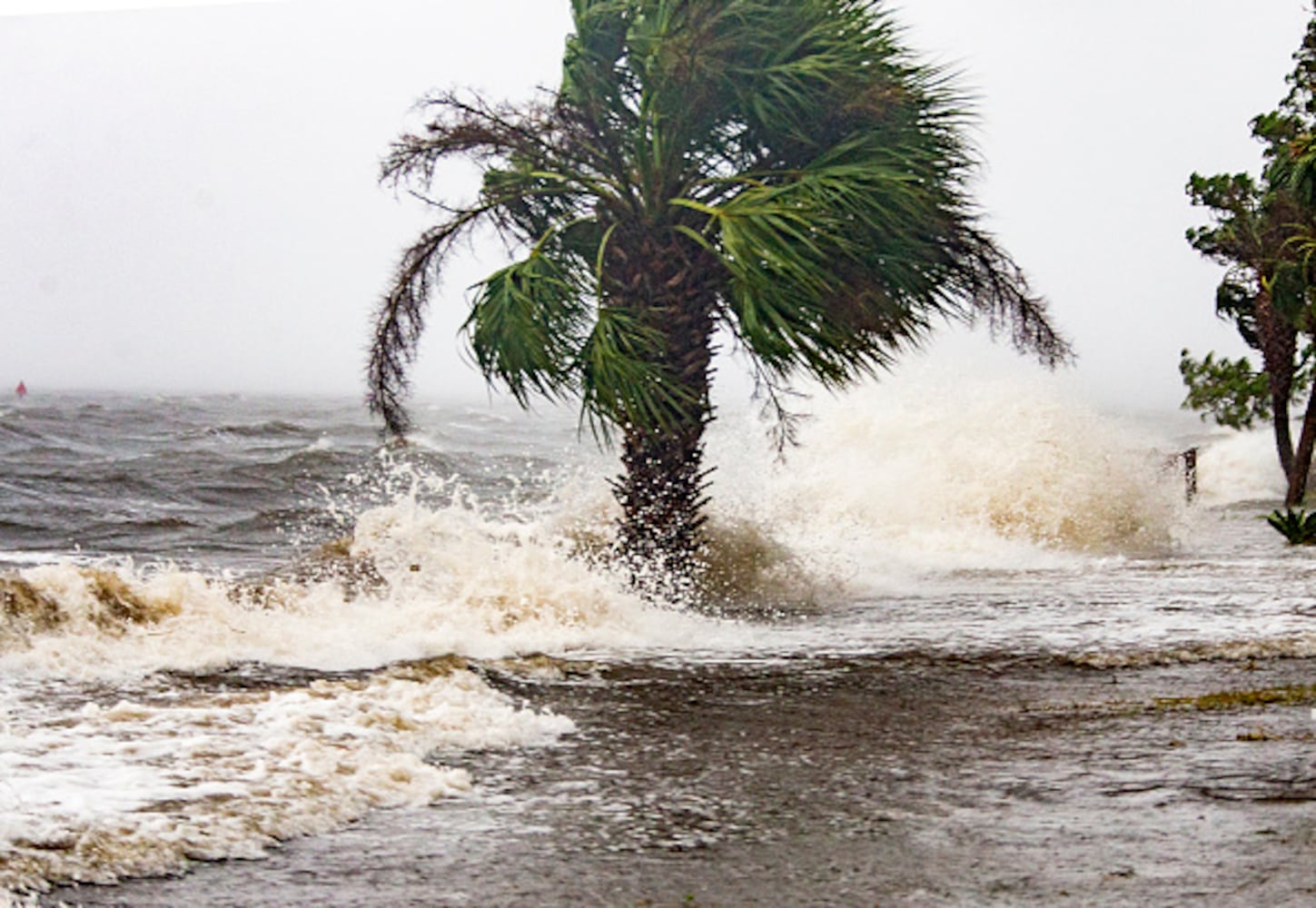 Photos: Florida Panhandle battens down for Hurricane Michael