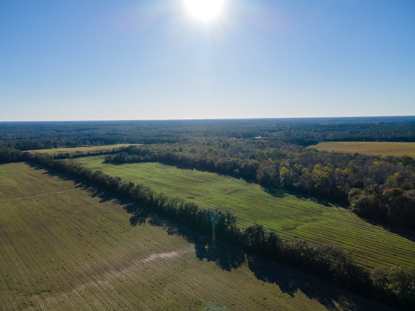 Grow bananas, pecans and more on your own personal Georgia estate for $2 million