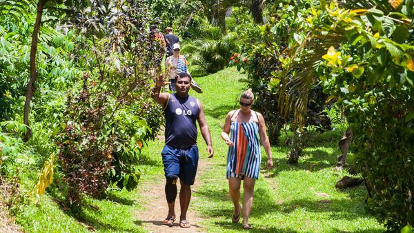 The half-mile walk to Tavoro Falls suggests why Taveuni is called the Garden Isle. (Steve Haggerty/Colorworld/TNS)