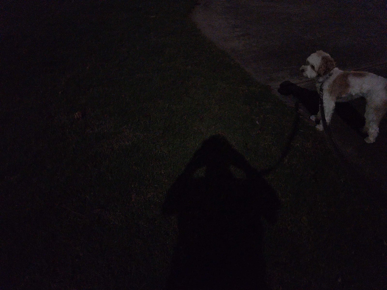 An attempt at a moon-shadow selfie by the photographer and his canine assistant in Cherokee County on Wednesday. (Brian O'Shea / brian.oshea@ajc.com)