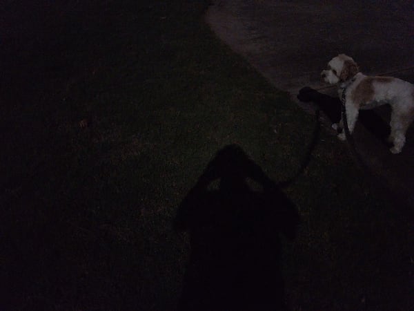 An attempt at a moon-shadow selfie by the photographer and his canine assistant in Cherokee County on Wednesday. (Brian O'Shea / brian.oshea@ajc.com)