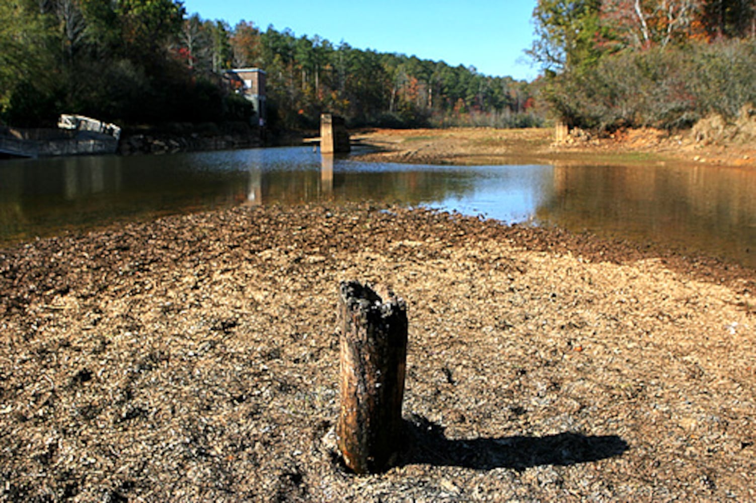 The Dog River Reservoir goes dry