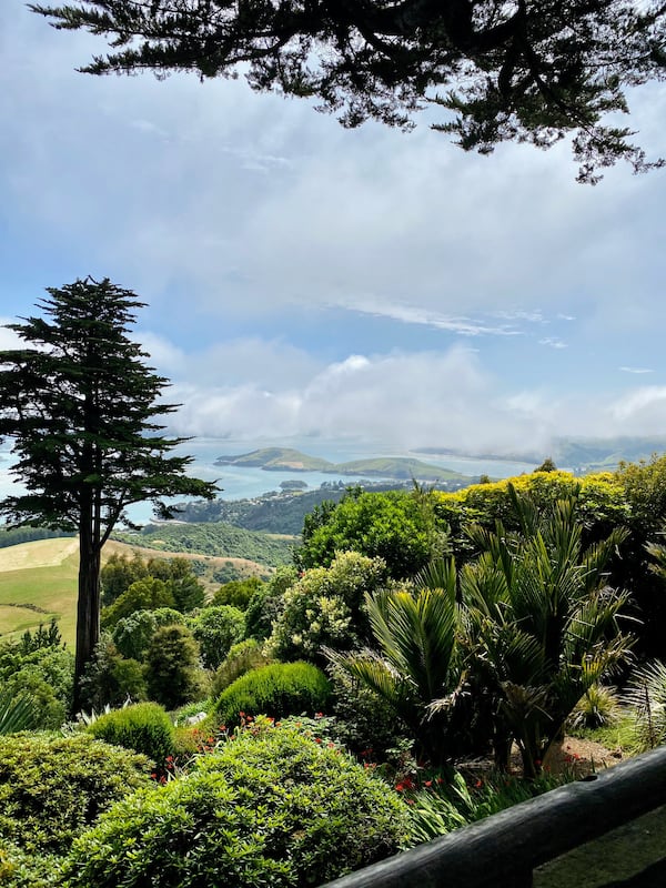 Marie Smith of  Canton submitted this photo of Larnach Castle Gardens in Dunedin, New Zealand taken on  Jan 26, 2020.
 
Regards,