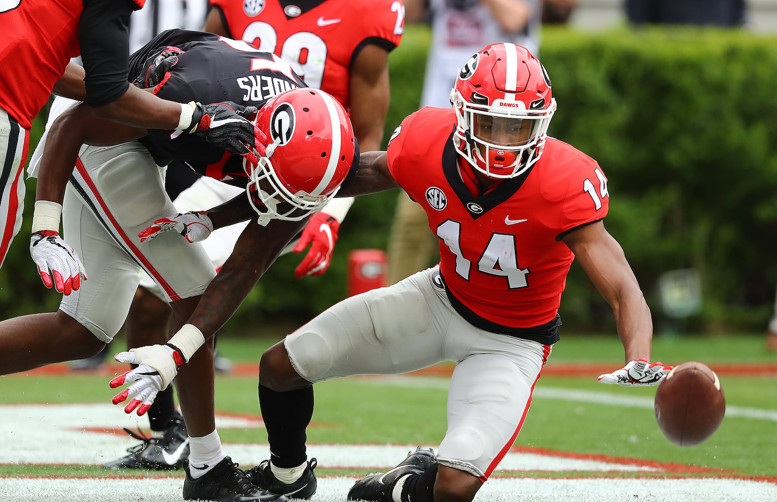 Photos: Bulldogs back on the field at G-Day scrimmage