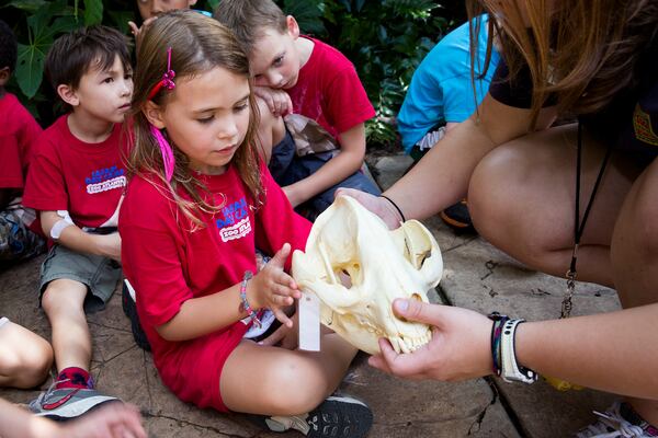 Zoo Atlanta hosts camps for kids during holiday breaks. Photo: Courtesy of Zoo Atlanta