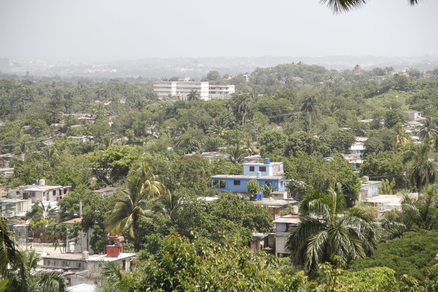 Cuban countryside