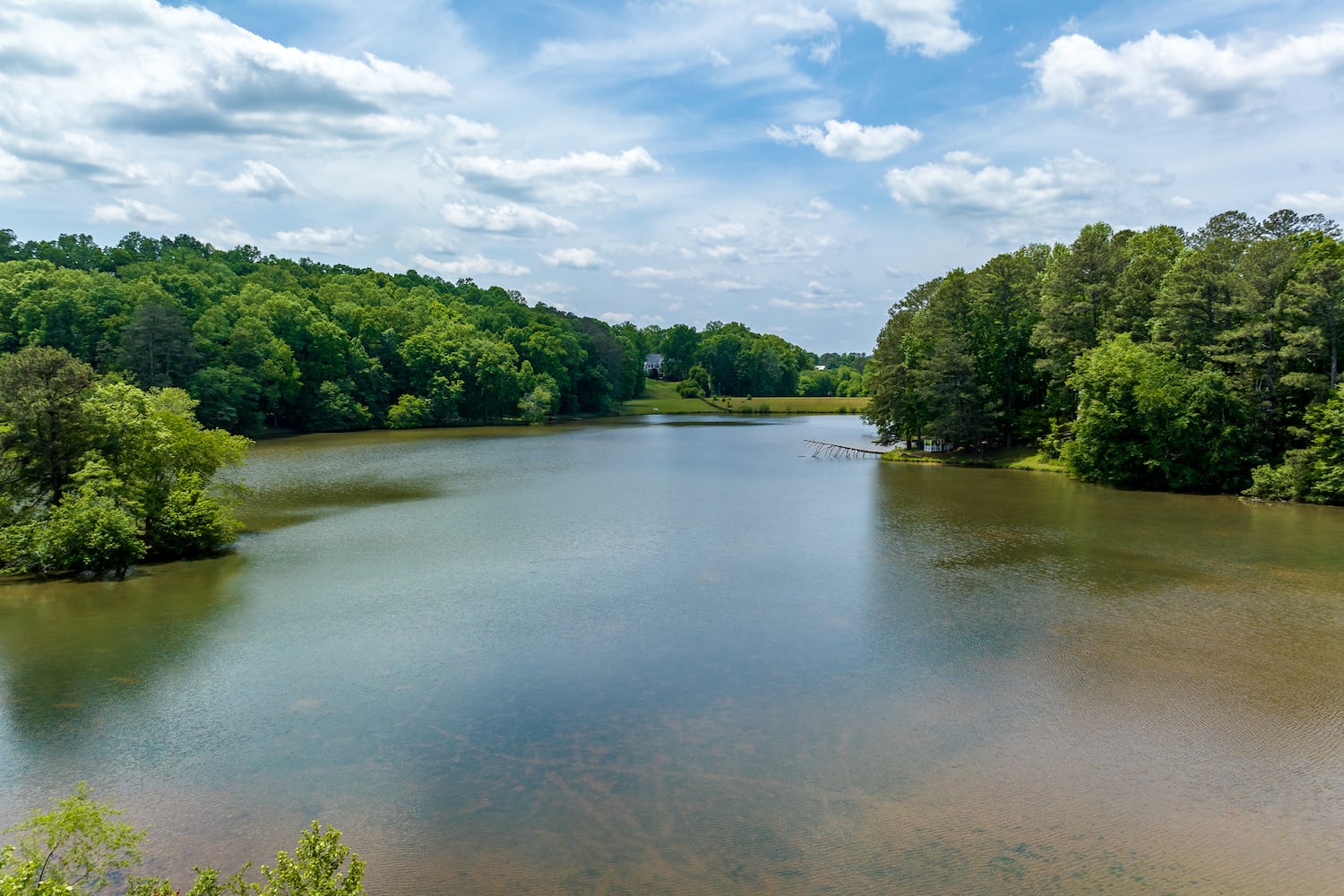 Luxurious Atlanta estate going to auction is both a ranch and a vineyard