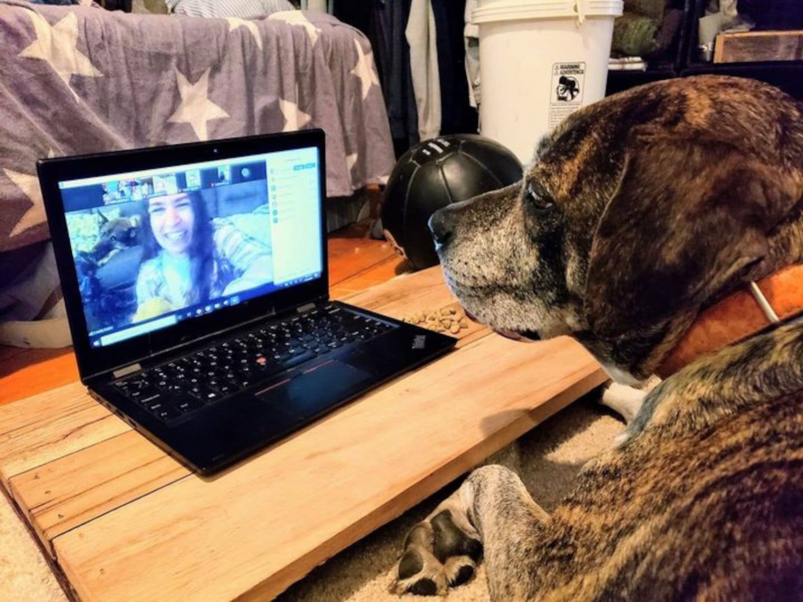 Pet chats are good for all. Pets Together is a free virtual pet visit program offered across the country to those living in group settings, such as nursing homes and senior living communities. Courtesy of Pets Together