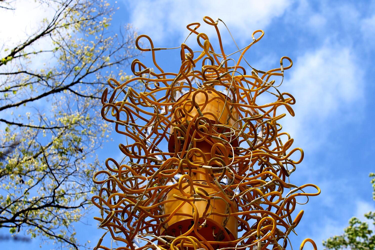 Chihuly Garden Installations | Atlanta Botanical Gardens