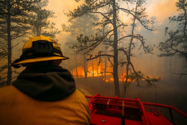 A firefighter looks on as the California Branch wildfire burns Saturday, March 22, 2025 in New Jersey's Wharton State Forest. (New Jersey Department of Environmental Protection via AP)