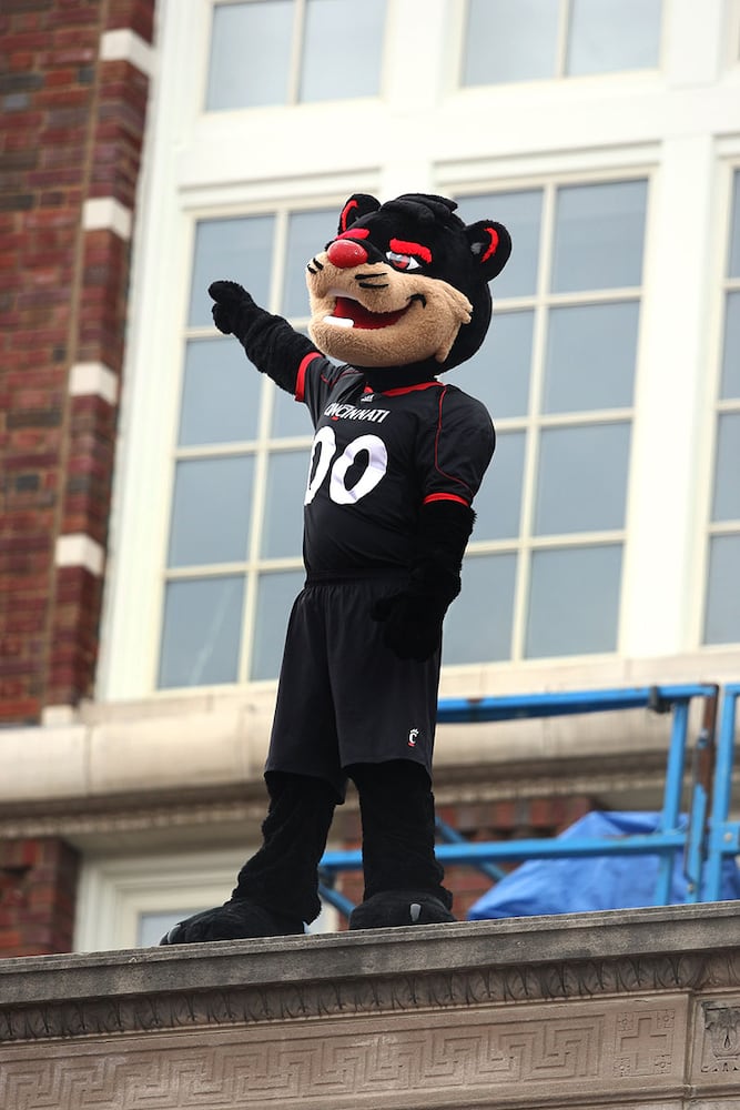 Cincinnati Bearcats