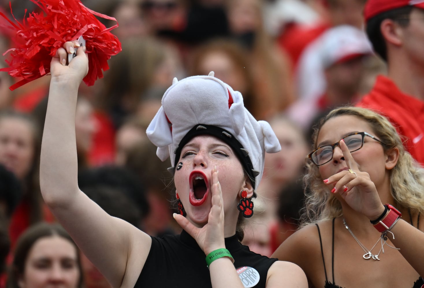 Georgia vs. South Carolina