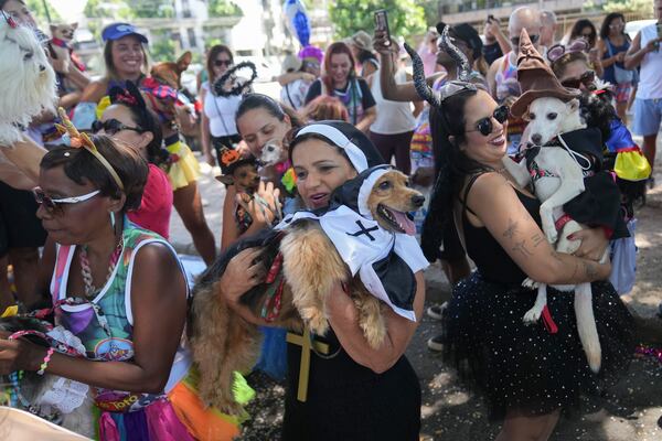 Owners and their pets take part in the "Blocao" dog carnival parade in Rio de Janeiro, Brazil, Saturday, March 1, 2025. (AP Photo/Silvia Izquierdo)