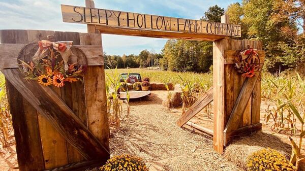 A day of fun at Sleepy Hollow Farm includes exploring a corn maze, wagon rides and pumpkin picking. 
(Courtesy of Cobb Travel & Tourism)