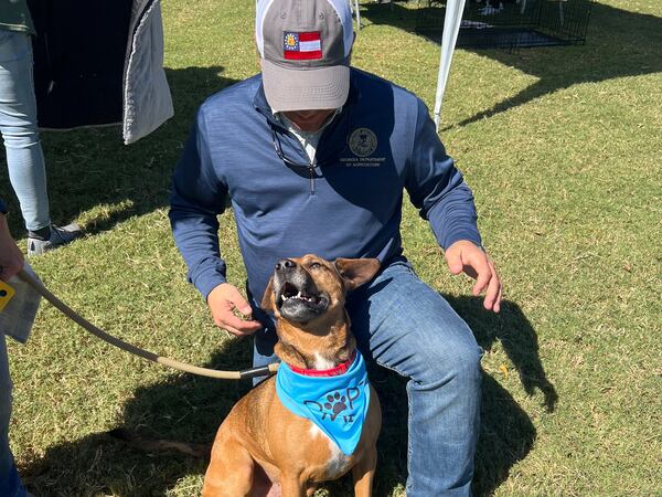 Jack, a six-year-old shepherd rescue, meets Georgia Agriculture Commissioner Tyler Harper on the lawn of the Georgia Governor’s Mansion during first lady Marty Kemp’s 2023 pet adoption day. (Courtesy photo)