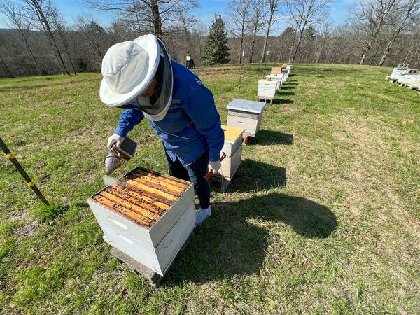 Virginia Webb produces one of nature’s finest delicacies in a small facility at her home in Clarkesville.