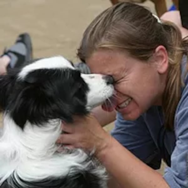 Bring your pooch to PAWFest in Lawrenceville on Saturday.