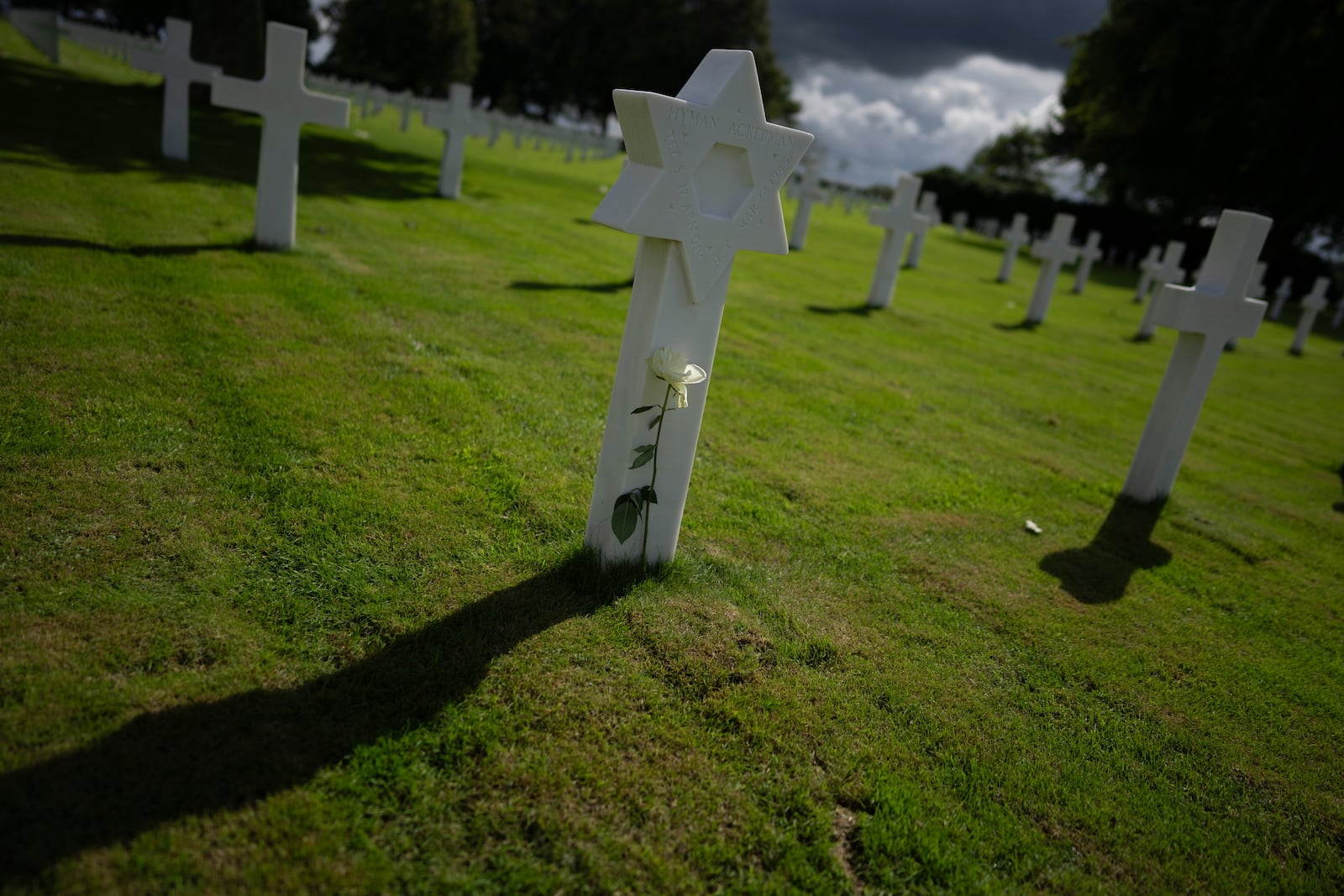 Eighty years after the liberation of the south of the Netherlands a white rose was put at the grave of Hyman Ackerman, a technician 5th grade with the 411th Quartermaster Company, 17th Airborne Division, who died on March 24, 1945, stands among the 8,288 crosses and Star of David headstones at the Netherlands American Cemetery in Margraten, southern Netherlands, on Wednesday, Sept. 11, 2024. (AP Photo/Peter Dejong)