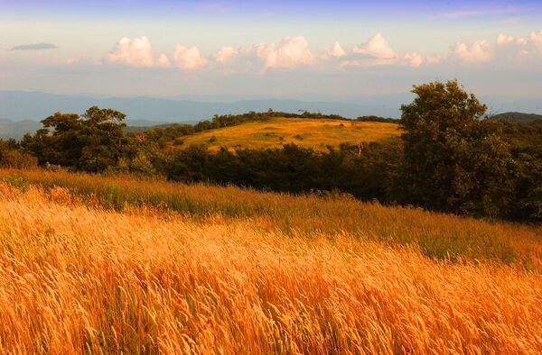 Huckleberry Knob sits at an elevation of 5,560 feet on the Cherohala Skyway in western North Carolina.
(Courtesy of VisitNC.com)