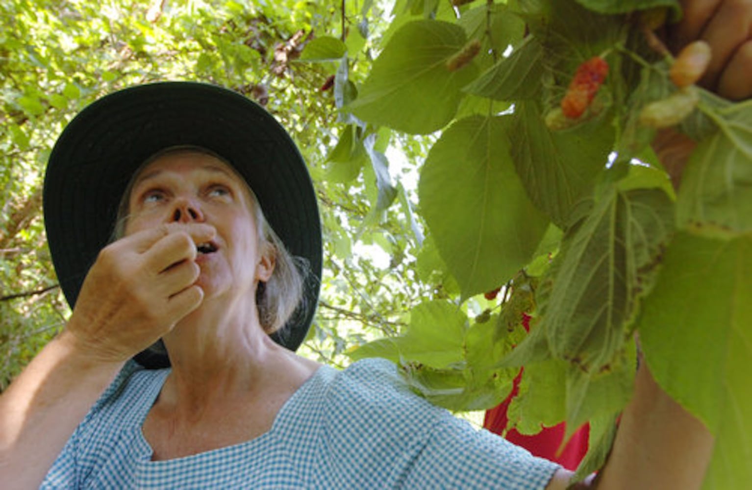 Protecting Cobb County's Hyde Farm