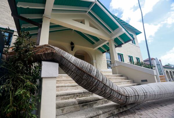 A fallen tree lies across stairs leading to the Cornell Art Museum at Old School Square in Delray Beach after Hurricane Irma Monday, September 11, 2017. (Bruce R. Bennett / The Palm Beach Post)