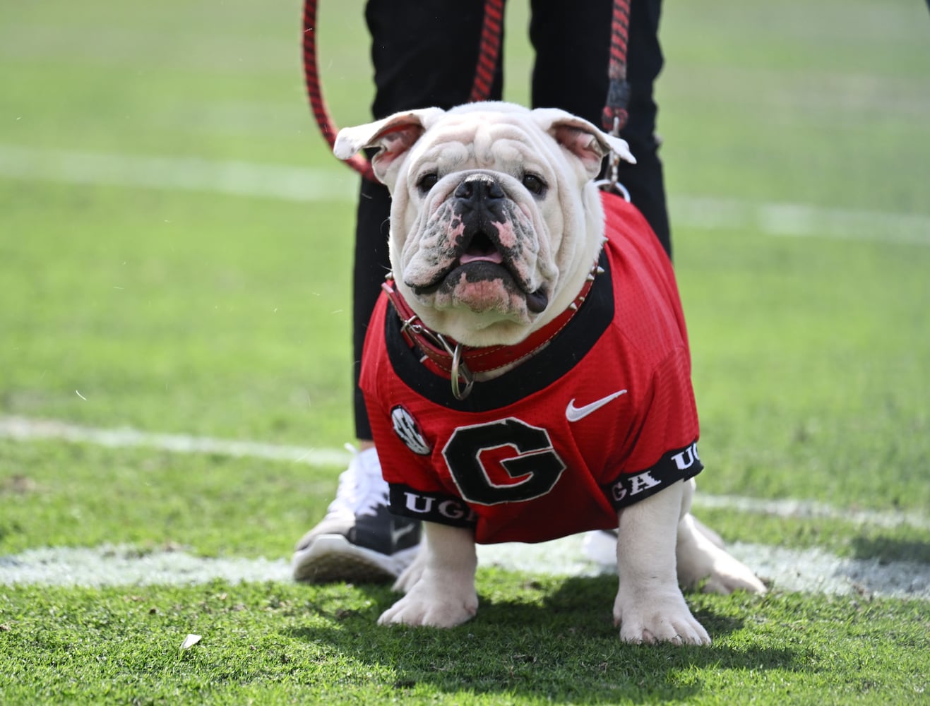 Georgia spring game