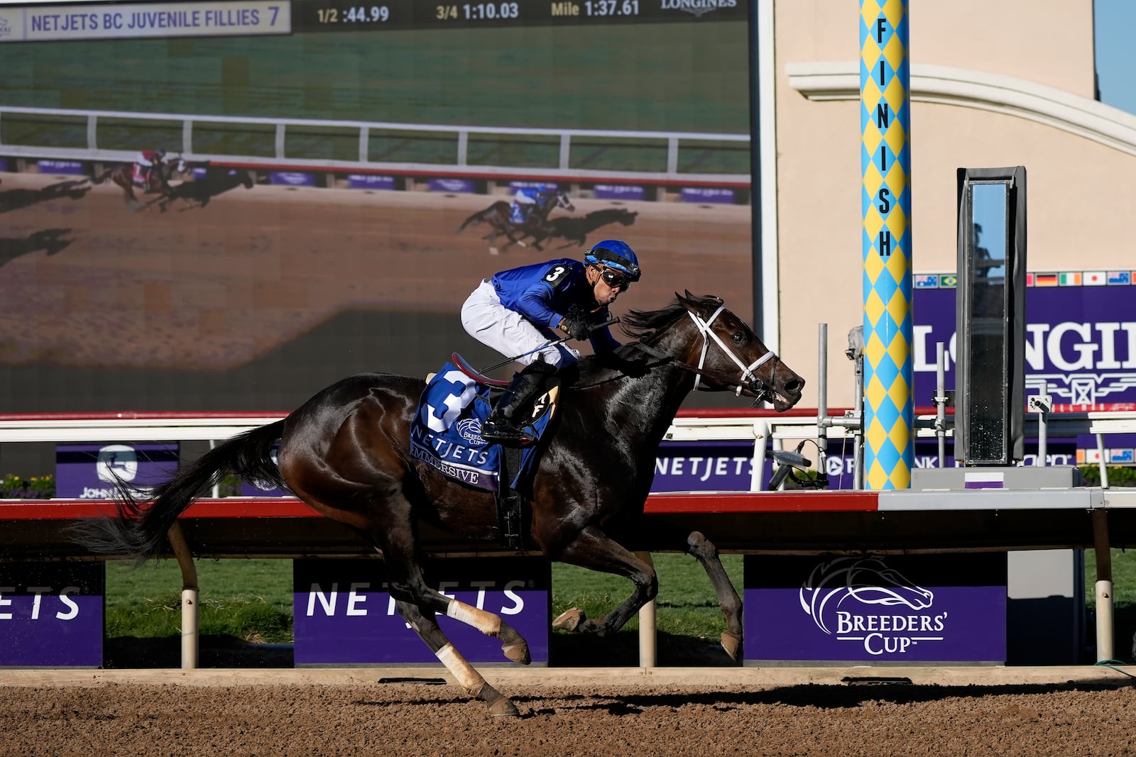 Manuel Franco rides Immersive to victory in the Breeders' Cup Juvenile Fillies horse race at Santa Anita Park in Del Mar, Calif., Friday, Nov. 1, 2024. (AP Photo/Gregory Bull)