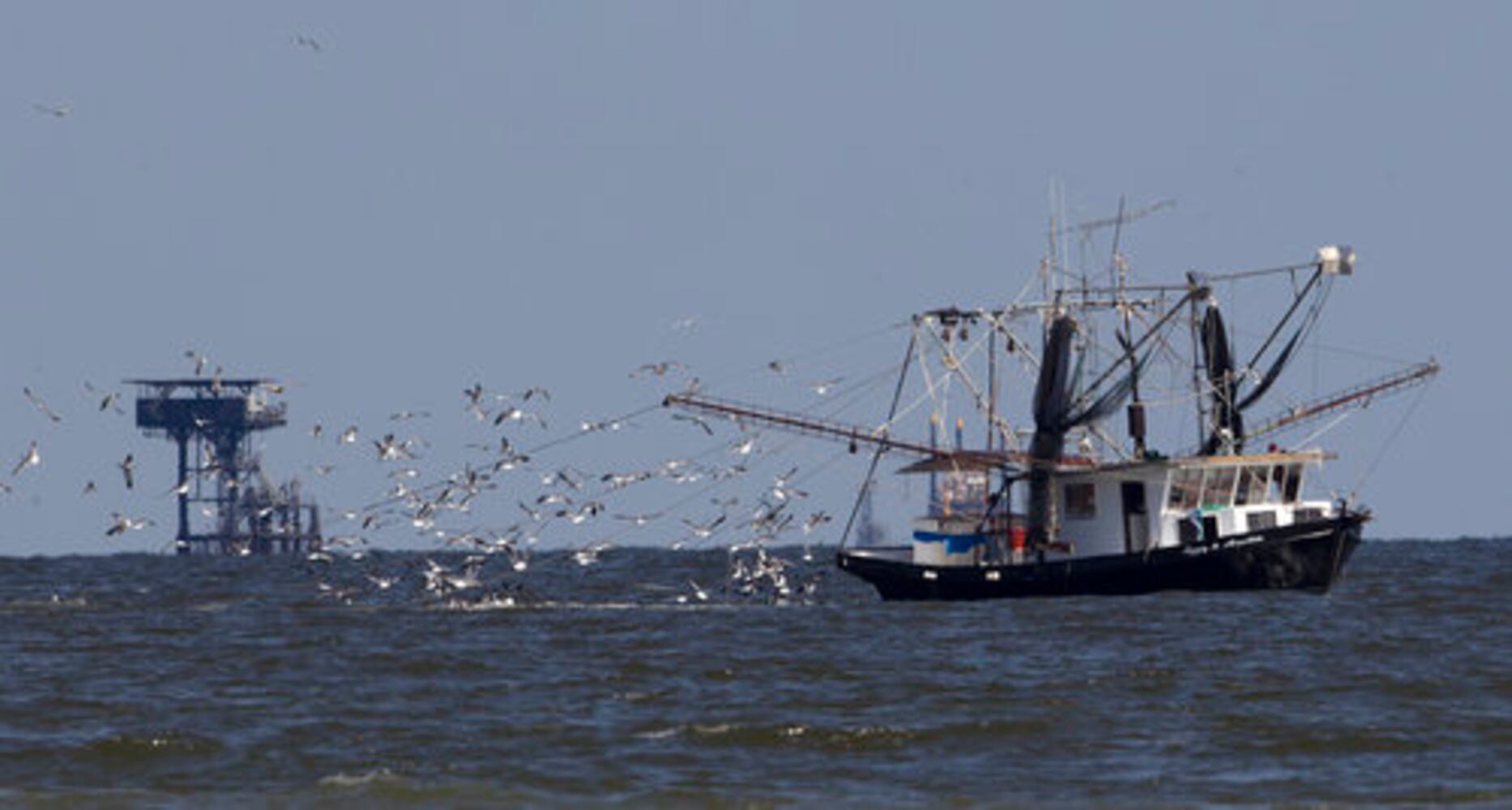 Deepwater Horizon oil spill on the Gulf -- One year later