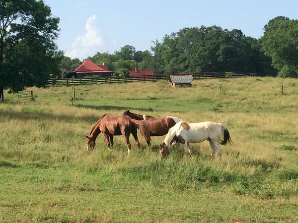 Some of Serenbe's residents. Photos: Jennifer Brett