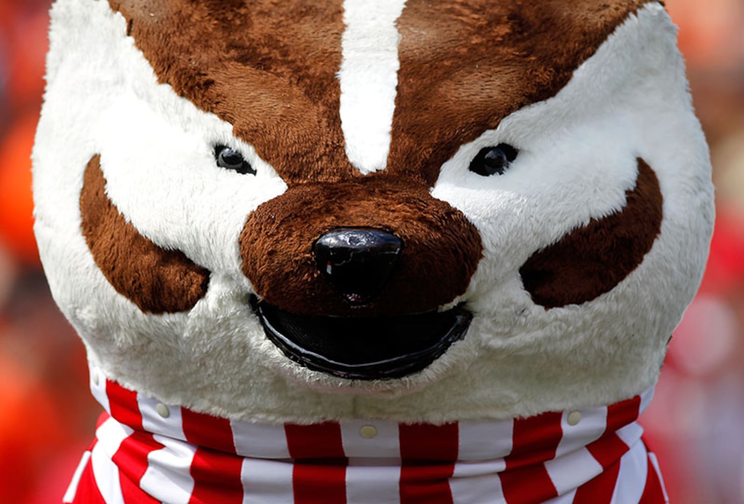 Wisconsin Badgers