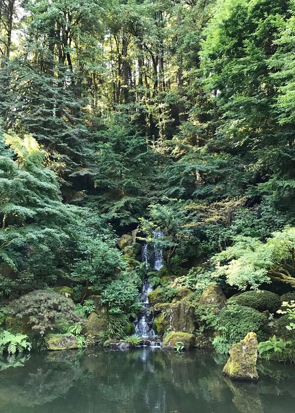 Lush foliage and waterfalls add to the serenity of the Portland Japanese Garden in Washington Park. (Jackie Burrell/Bay Area News Group/TNS)