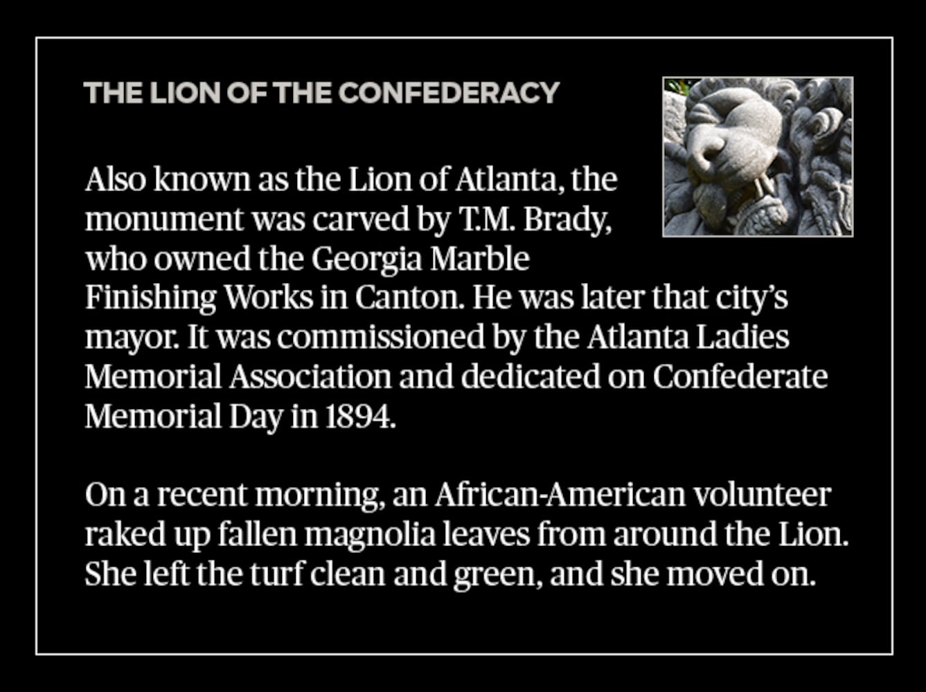 Lion of the Confederacy