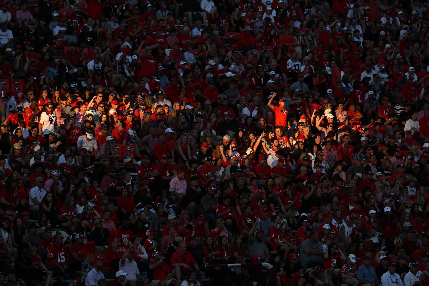 Georgia vs Mississippi State photo