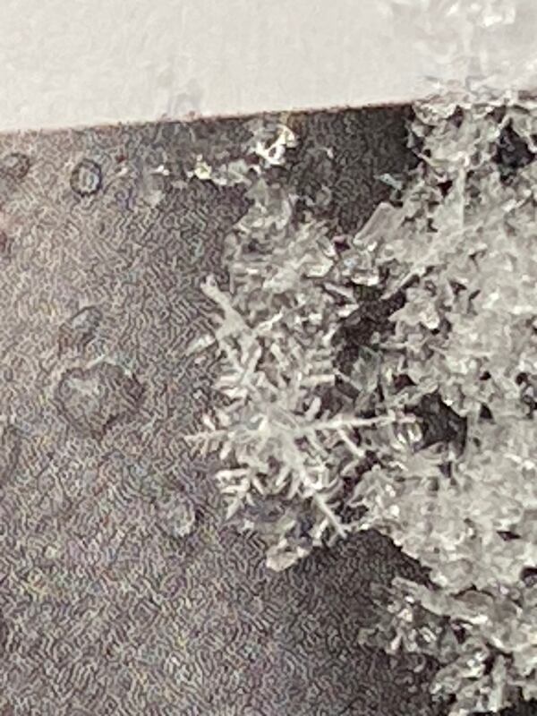 "I finally believe in snowflakes," wrote Michael Tench of Cornelia. He captured this photo with his iPhone from last winter’s snows.